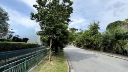 Belmont Road (D10), Detached #498739581